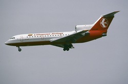 LY-AAV